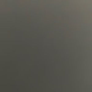 Meet your Posher, Lila